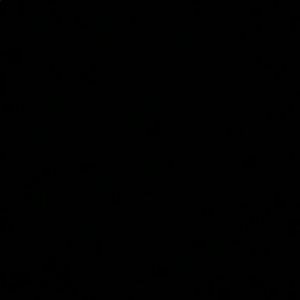 Meet your Posher, Ava